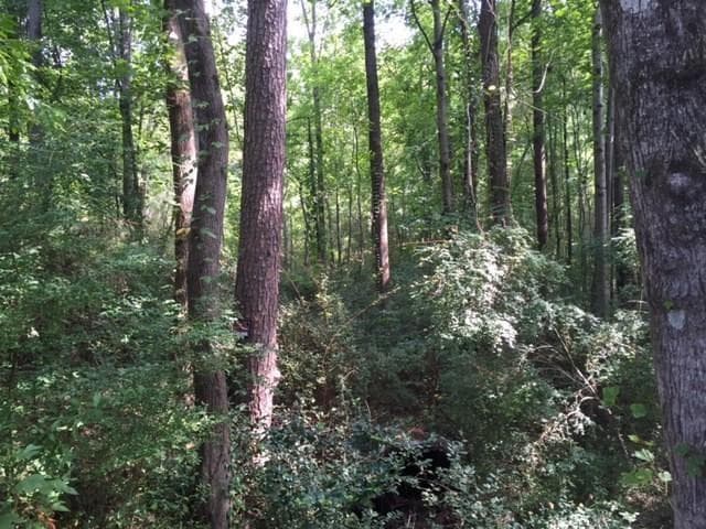 other sold at 0 Corinth Drive, Stone Mountain, GA 30087