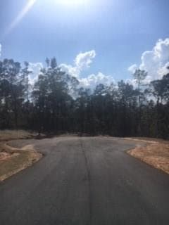 other sold at 316 Nunnally Ridge Ct Road, Monroe, GA 30655