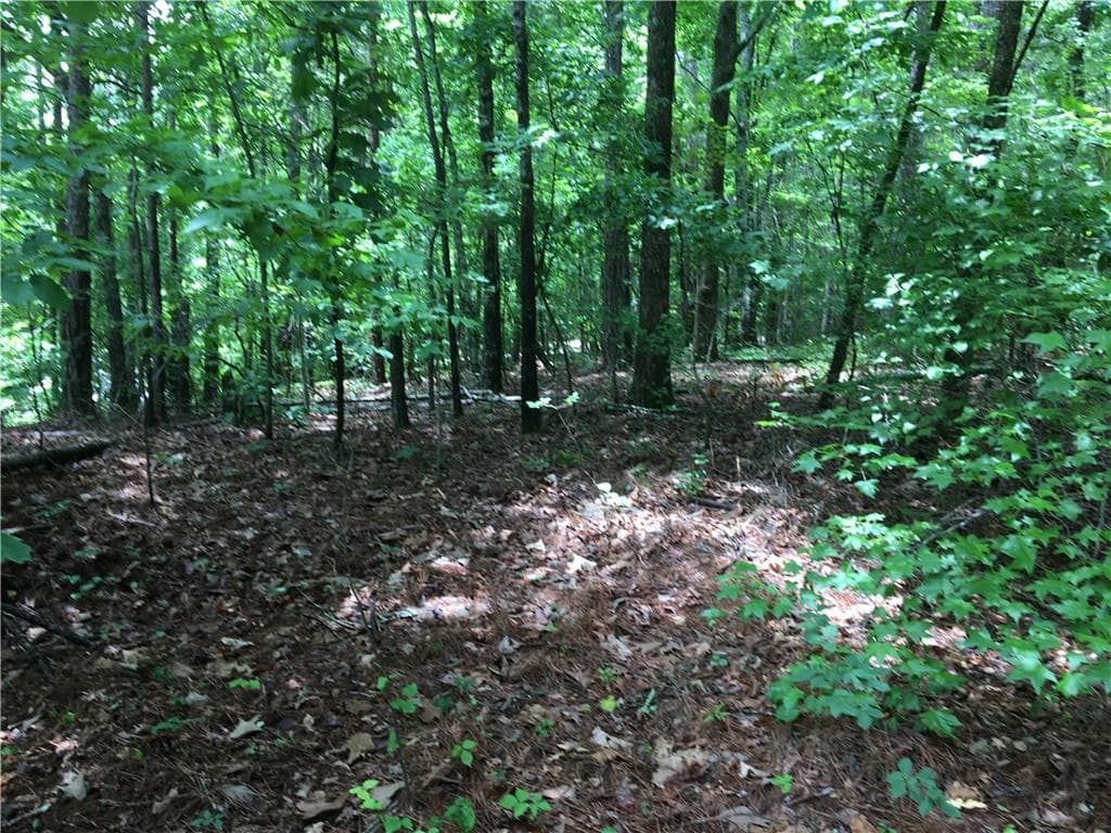 other sold at 215 Mountain Park Road, Woodstock, GA 30188