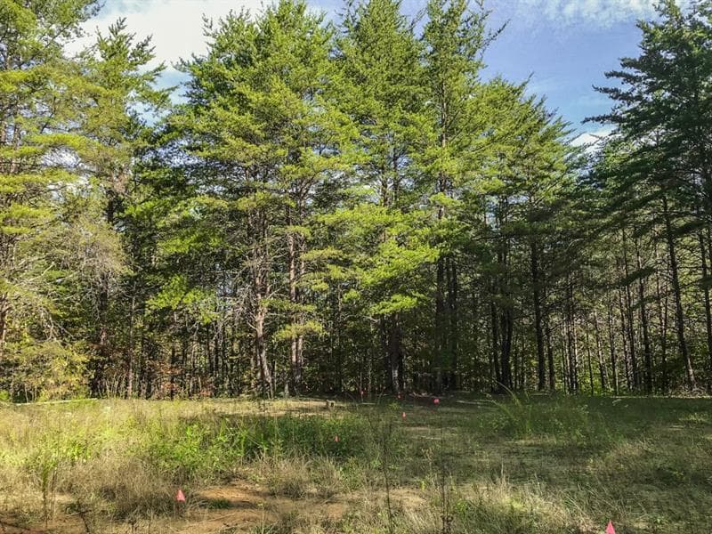other sold at Lot 61 Chesterra Drive, Dahlonega, GA 30533