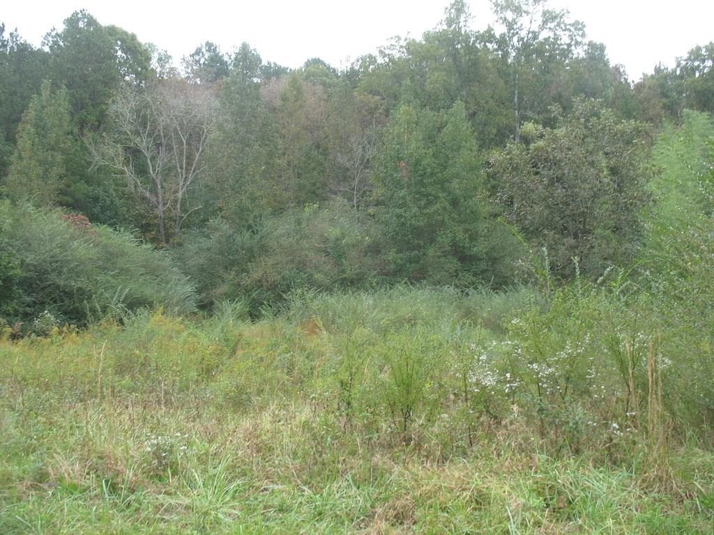other sold at 201 Santa Claus Road, Cedartown, GA 30125