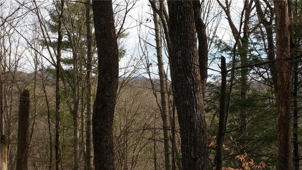single family residence sold at L7 Antler Ridge, Ellijay, GA 30540