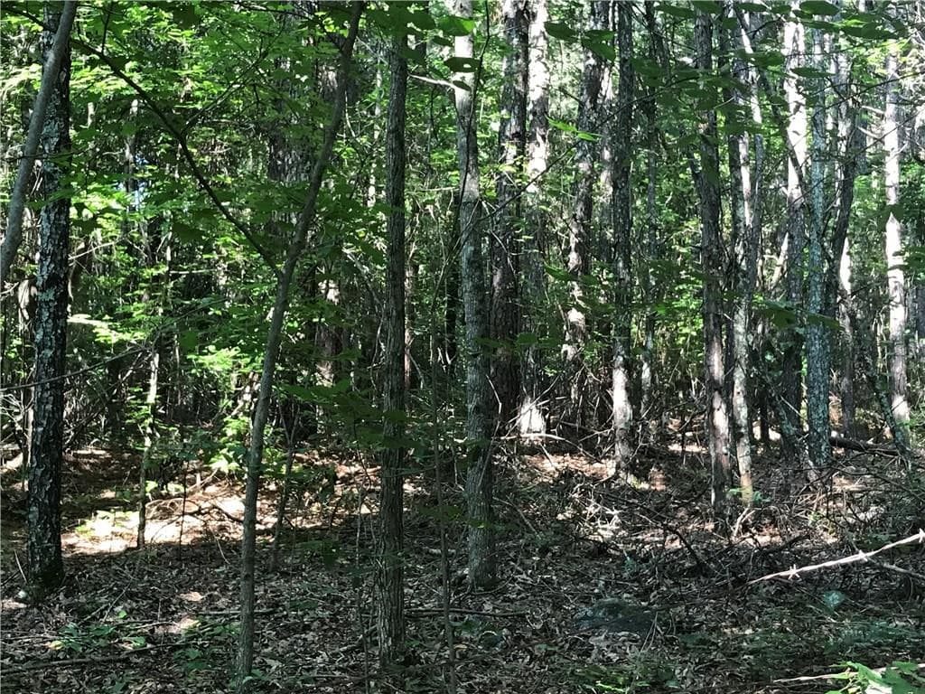 other sold at 0 Douthit Bridge Road, Dallas, GA 30132