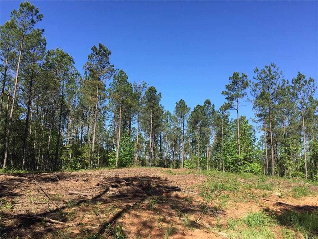 other sold at Trct 6 Damascus Road, Ball Ground, GA 30107
